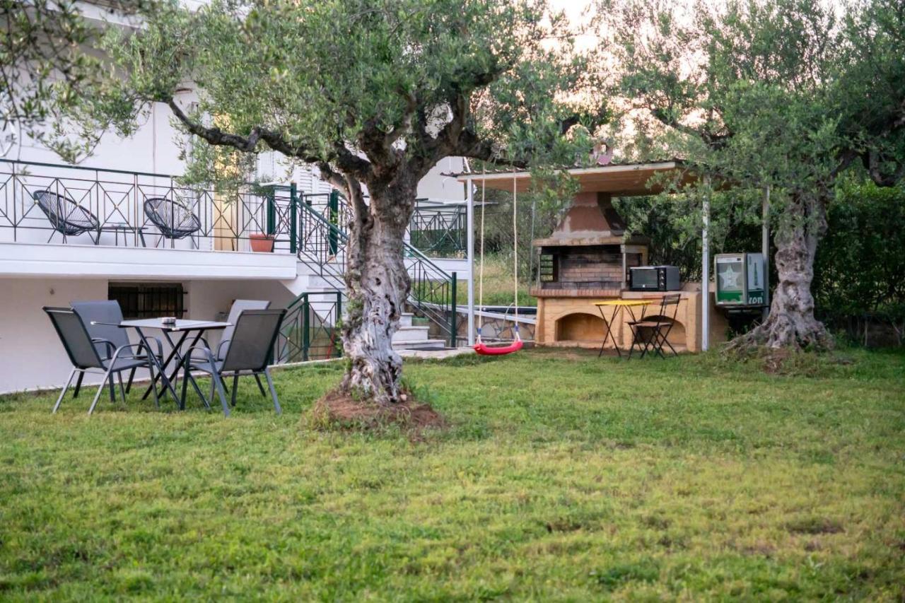 Olive Harmony House - B&B Ariochóri