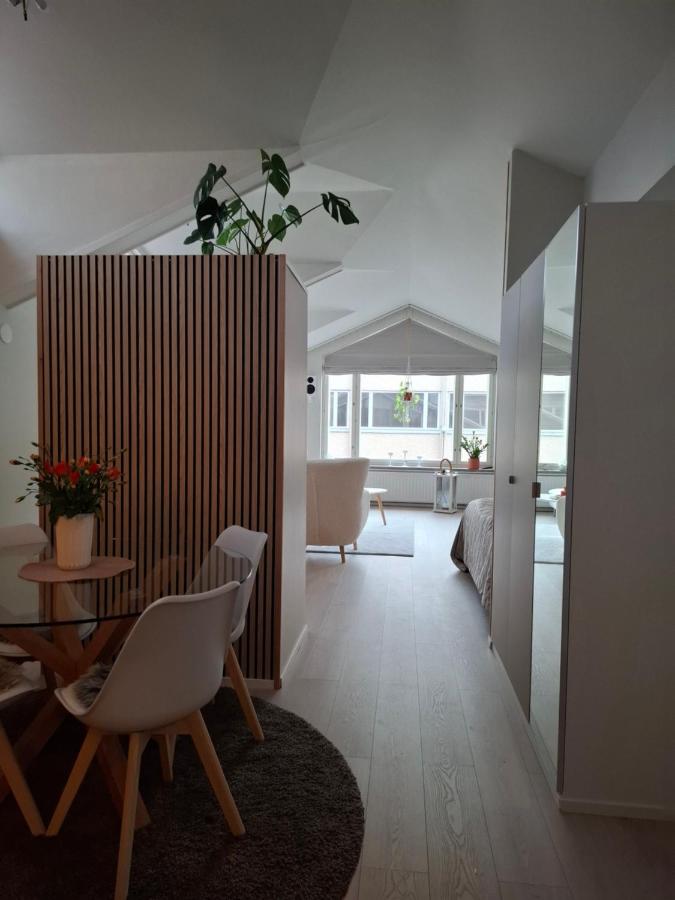 Kotoisa kattohuoneisto - B&B Laitila