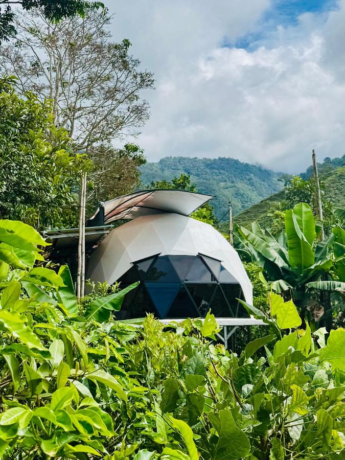 Kayala Domes - B&B
