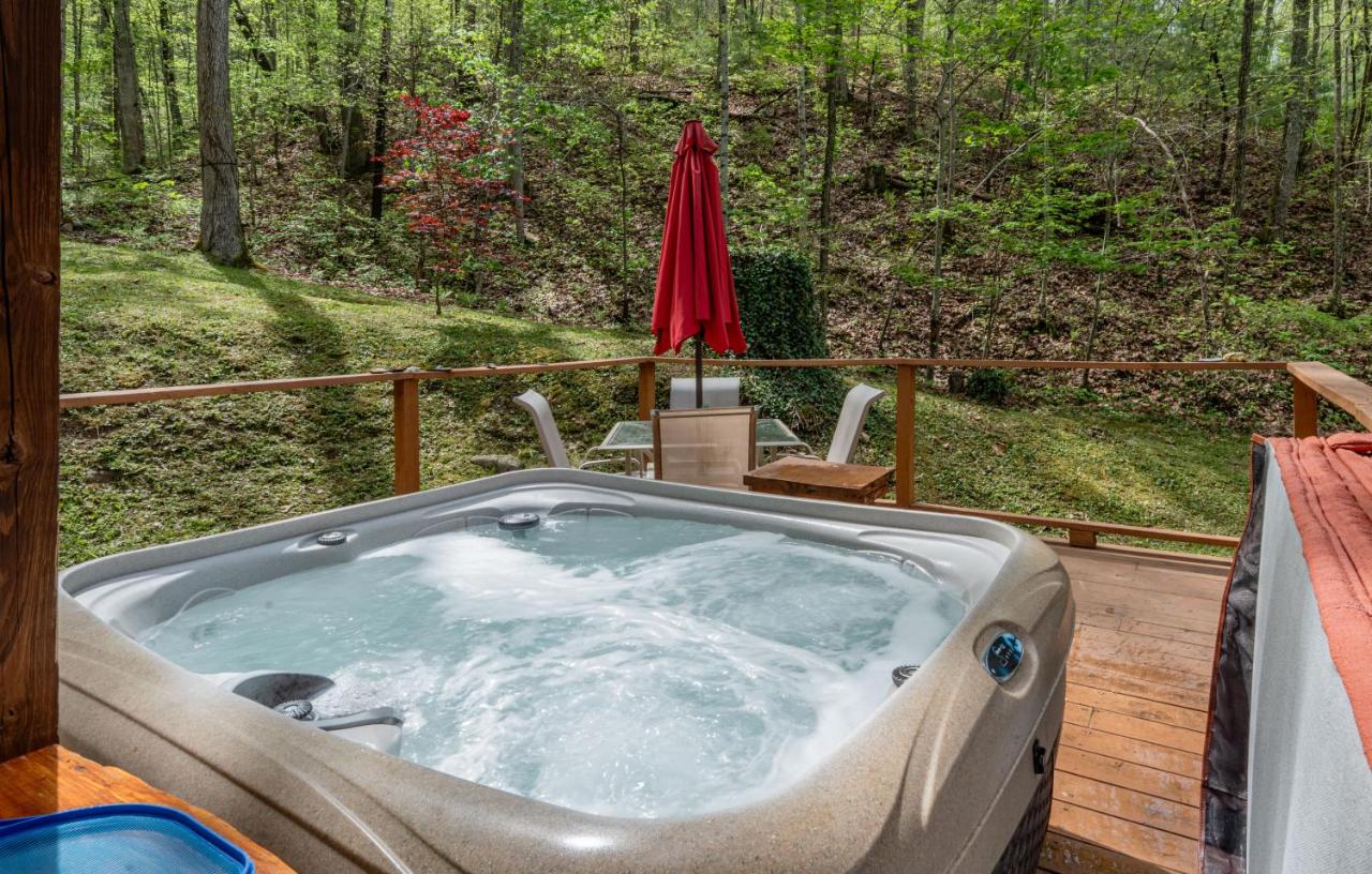 The Mountain Forager Cabin, Bryson City NC - B&B