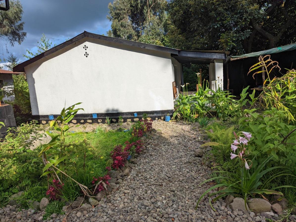 Yose art & guest house - B&B