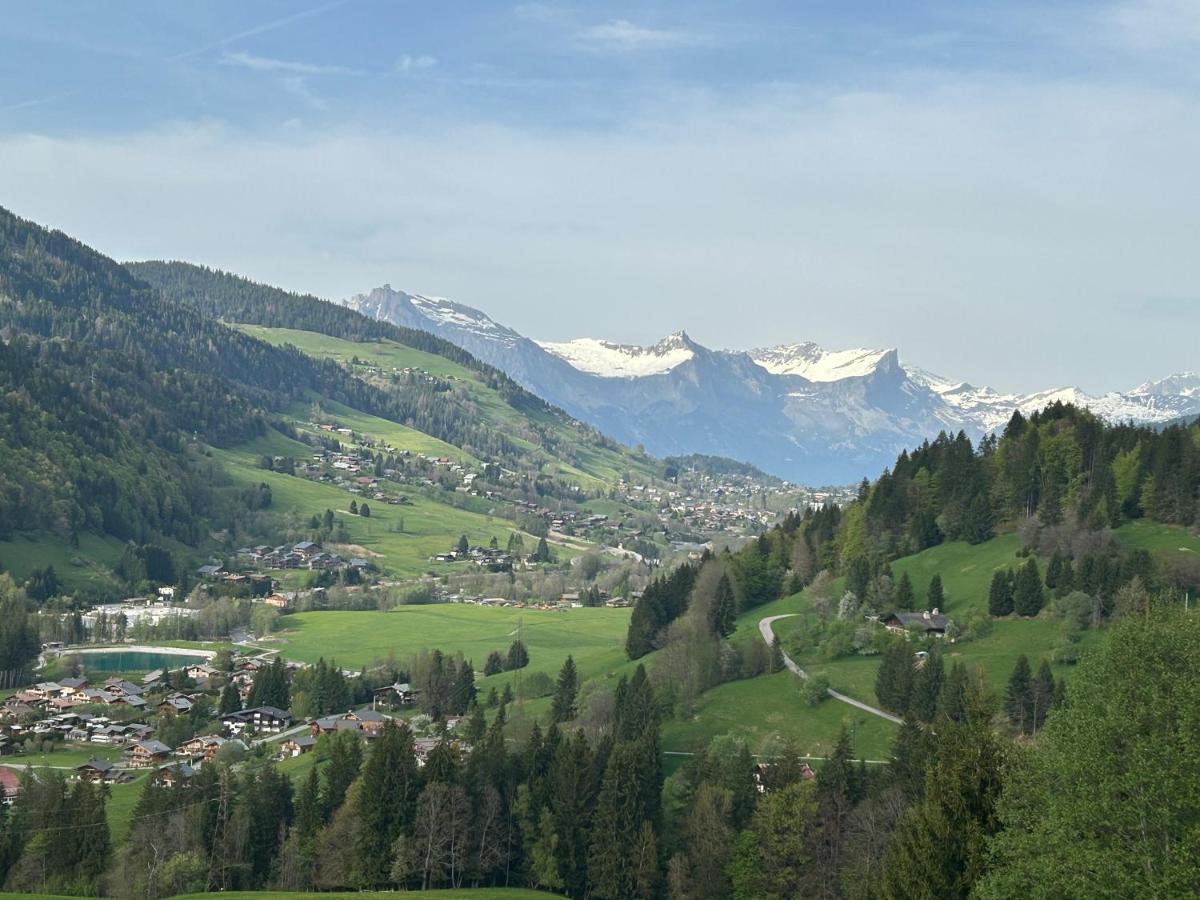 Chalet Saint Victor, Praz sur Arly - B&B