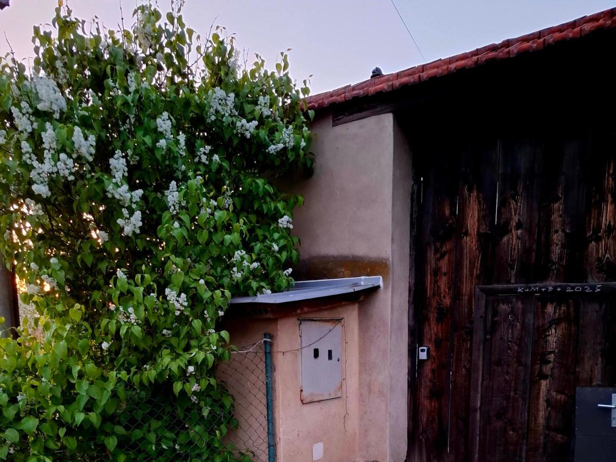 Ubytování u třech čerešní - B&B Hladké Životice