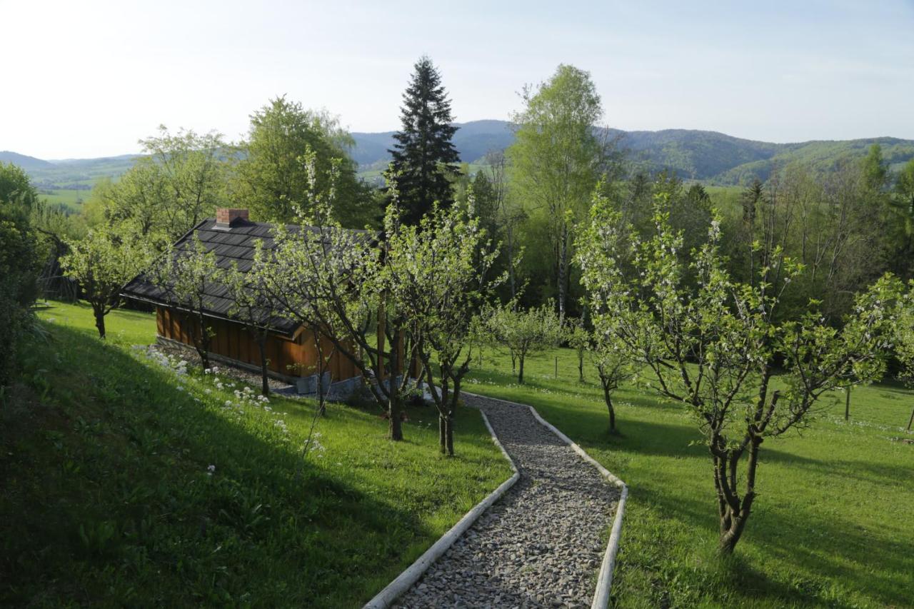 Apartament w ogrodzie - B&B