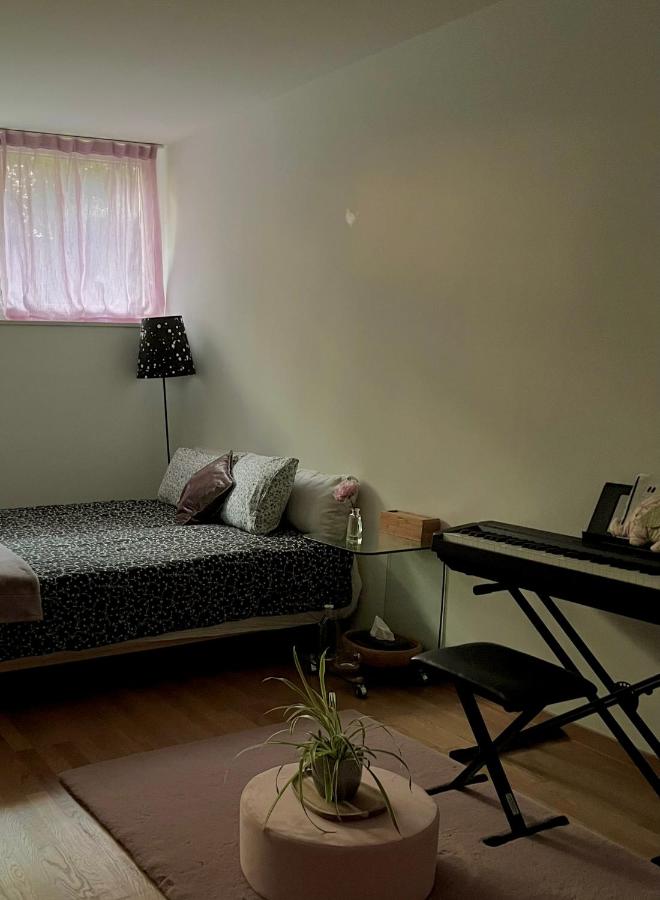 Private Room with Independent Entrance in Basel - B&B Basilea