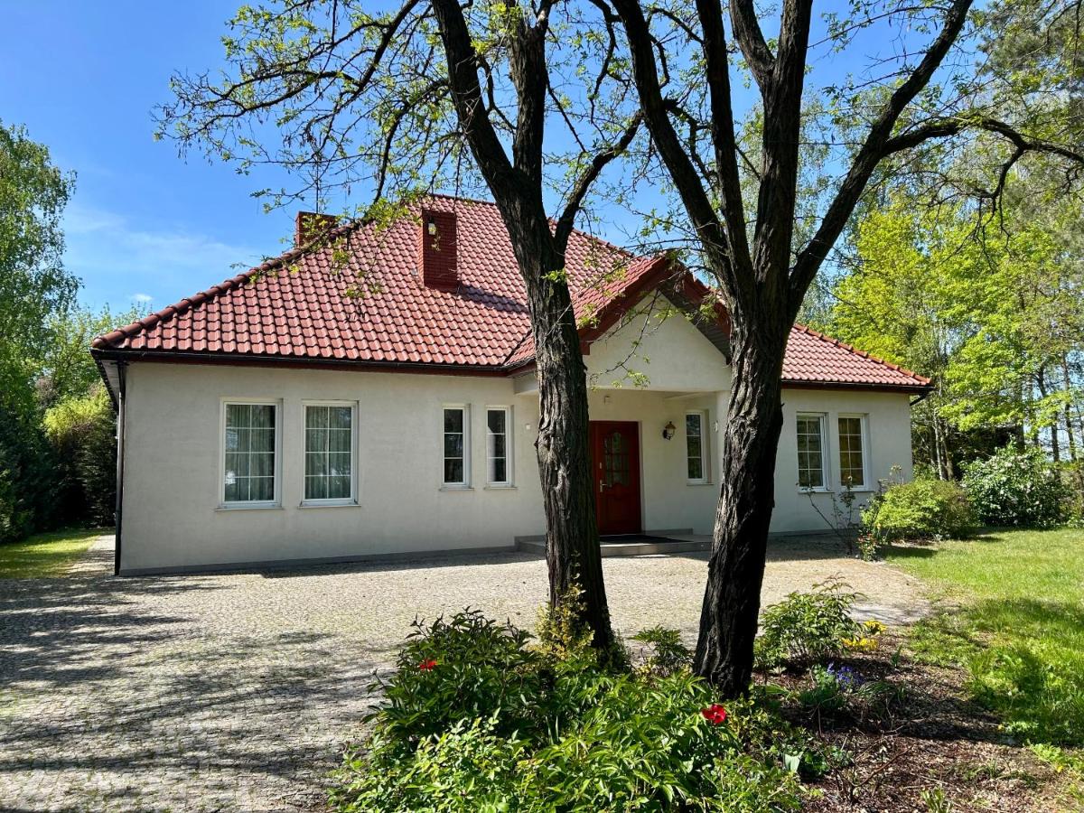 Villa Otolice obok Łowicza, 6 sypialni, basen, sauna, snooker, 50 minut od Warszawy i Łodzi