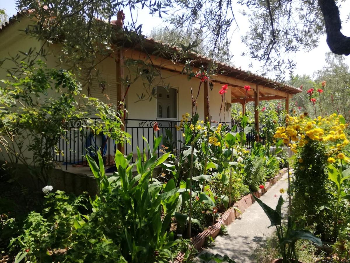 Eleni - B&B