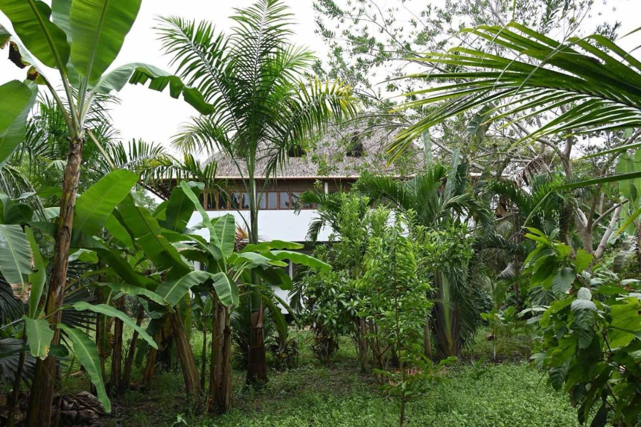 Casa Colorida - B&B Santa Marta