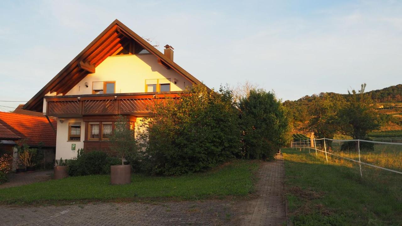 Gästehaus Haßler - Bed and Breakfast Königschaffhausen