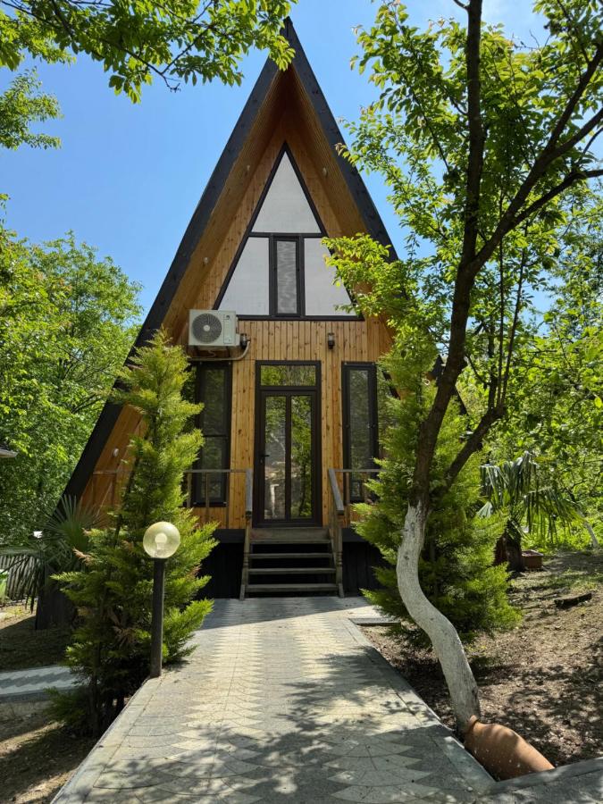 Lerik kirayə ev - B&B