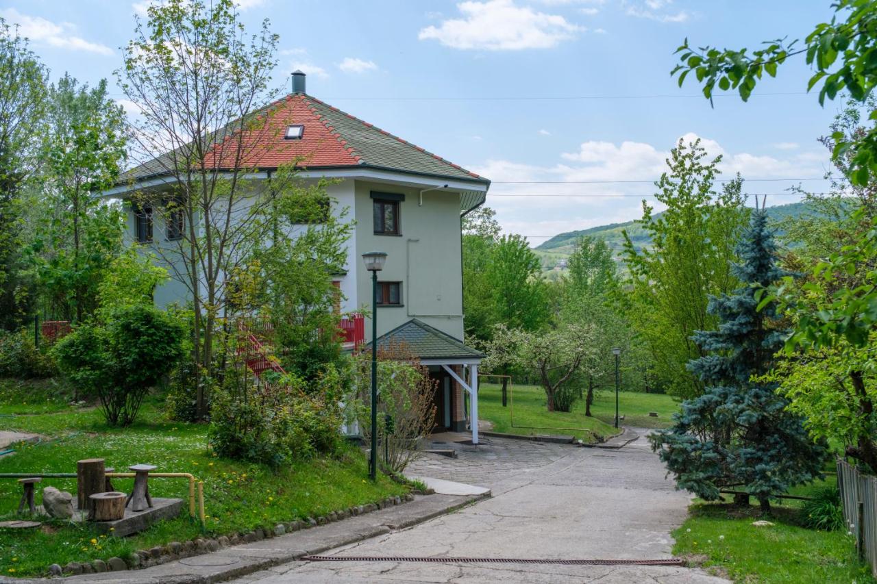 Villa Octogon Câmpina - Bed and Breakfast Câmpina