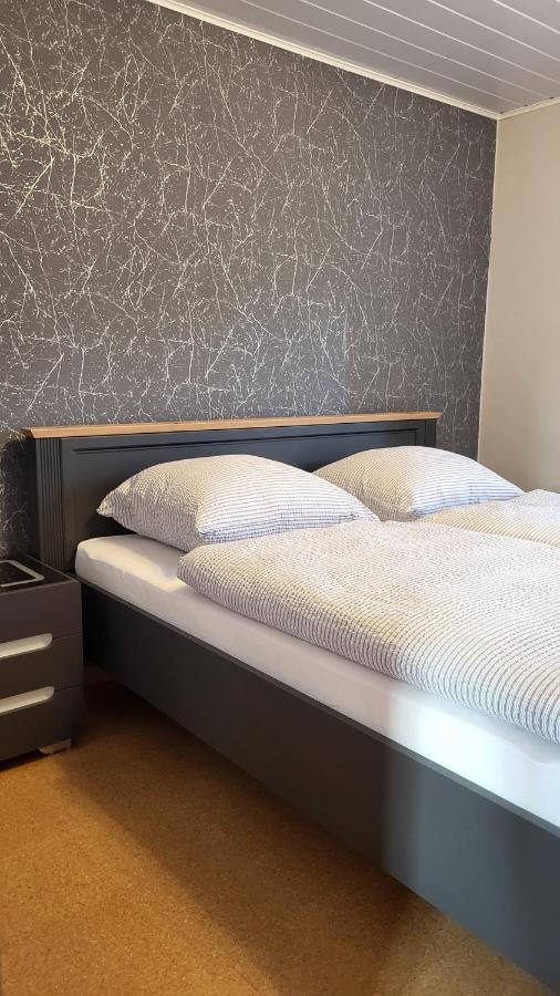 Ferienwohnung Waldenburg Sachsen - B&B