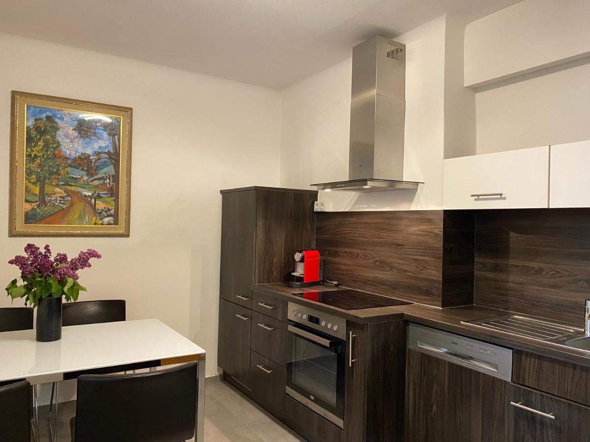 Neueröffnung - Apartment Dietrichsteinplatz - gratis Tiefgaragenplatz - Ferienwohnung
