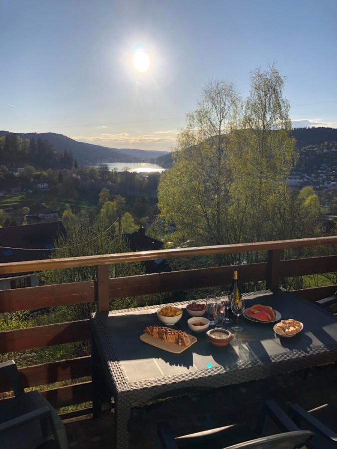 F3 Superbe vue lac, grand balcon, ambiance nature - B&B Gérardmer