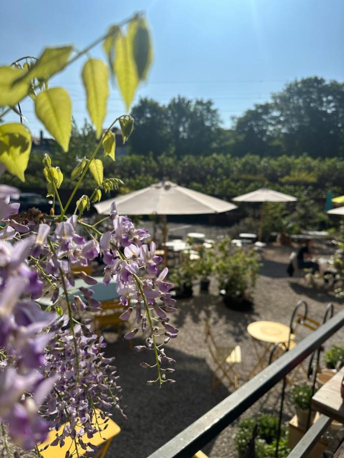 Ferienwohnungen im HOF68 - B&B Münster