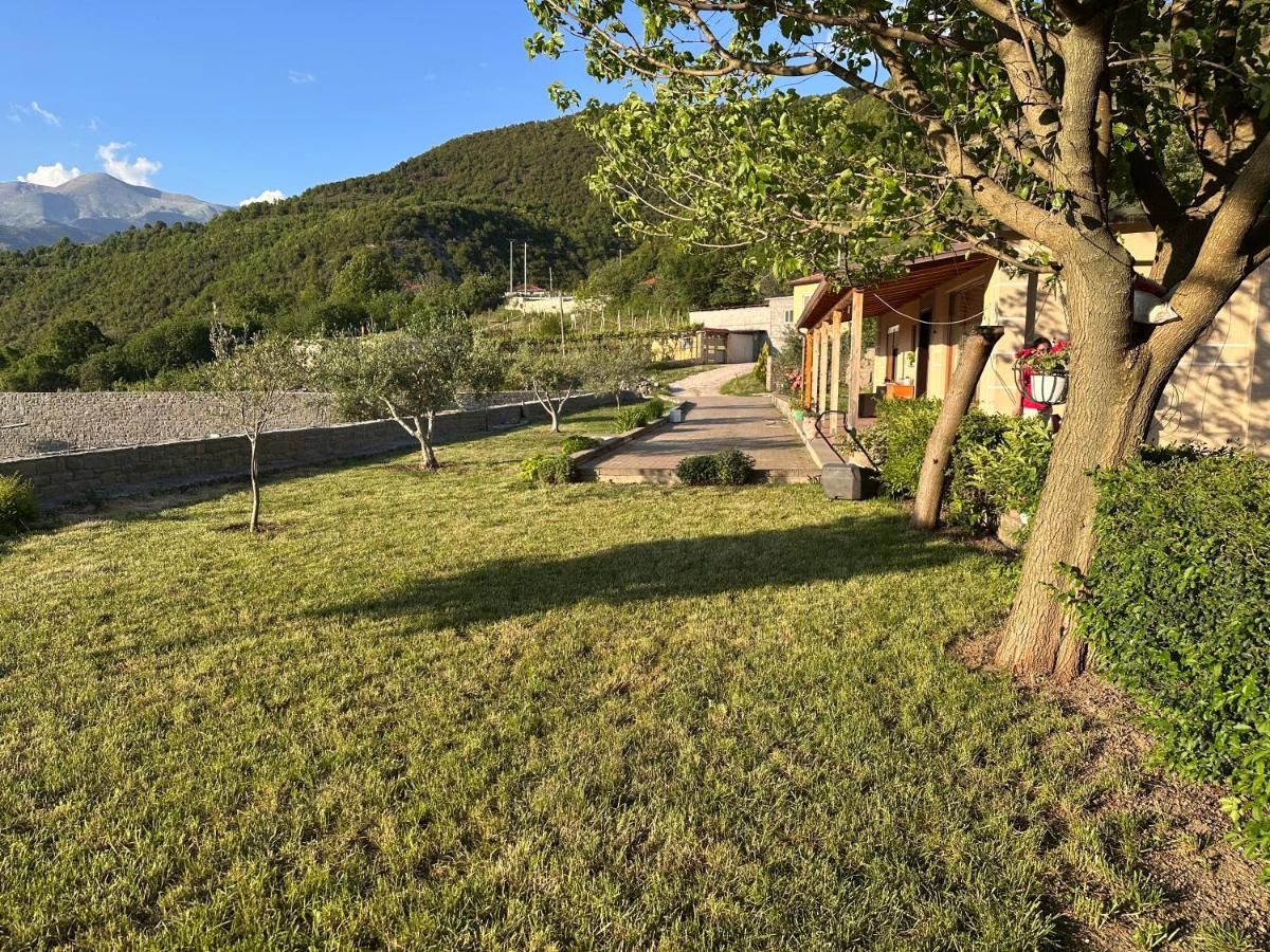 Guest House Nino's - Bed and Breakfast Çorovodë