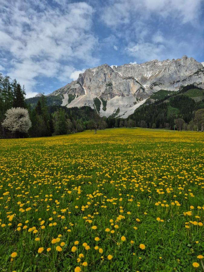 Family Appartment - Dachstein View - Ferienwohnung