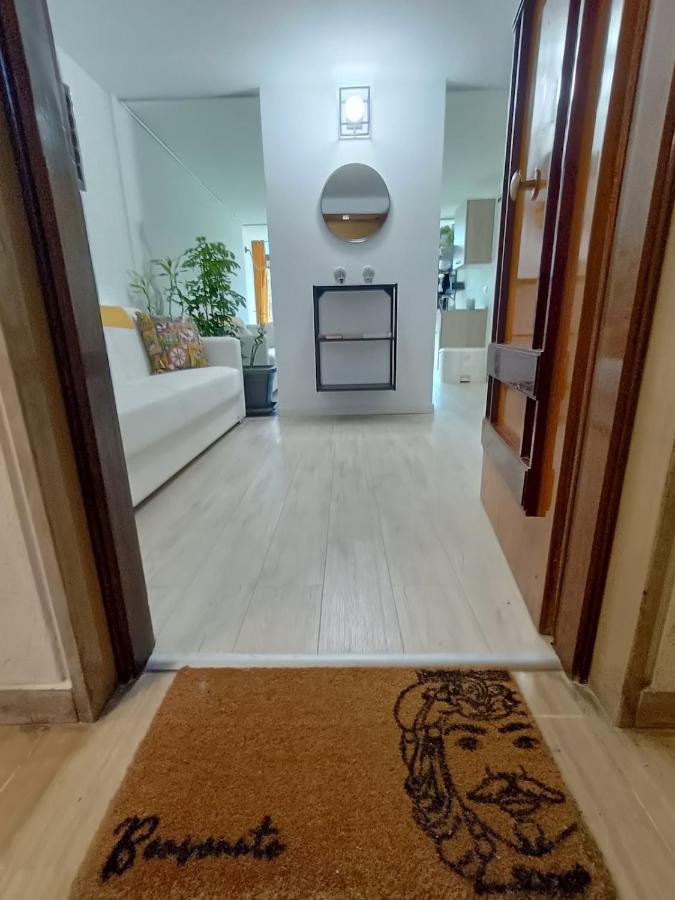 Domus Sicula Palermo city center - B&B Palermo