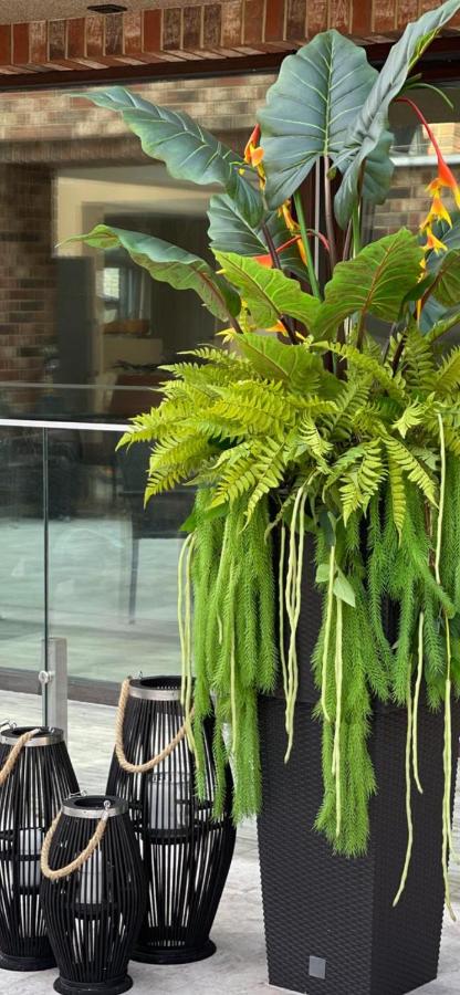 Palanga Green Hill - Chambres d’hôtes Palanga