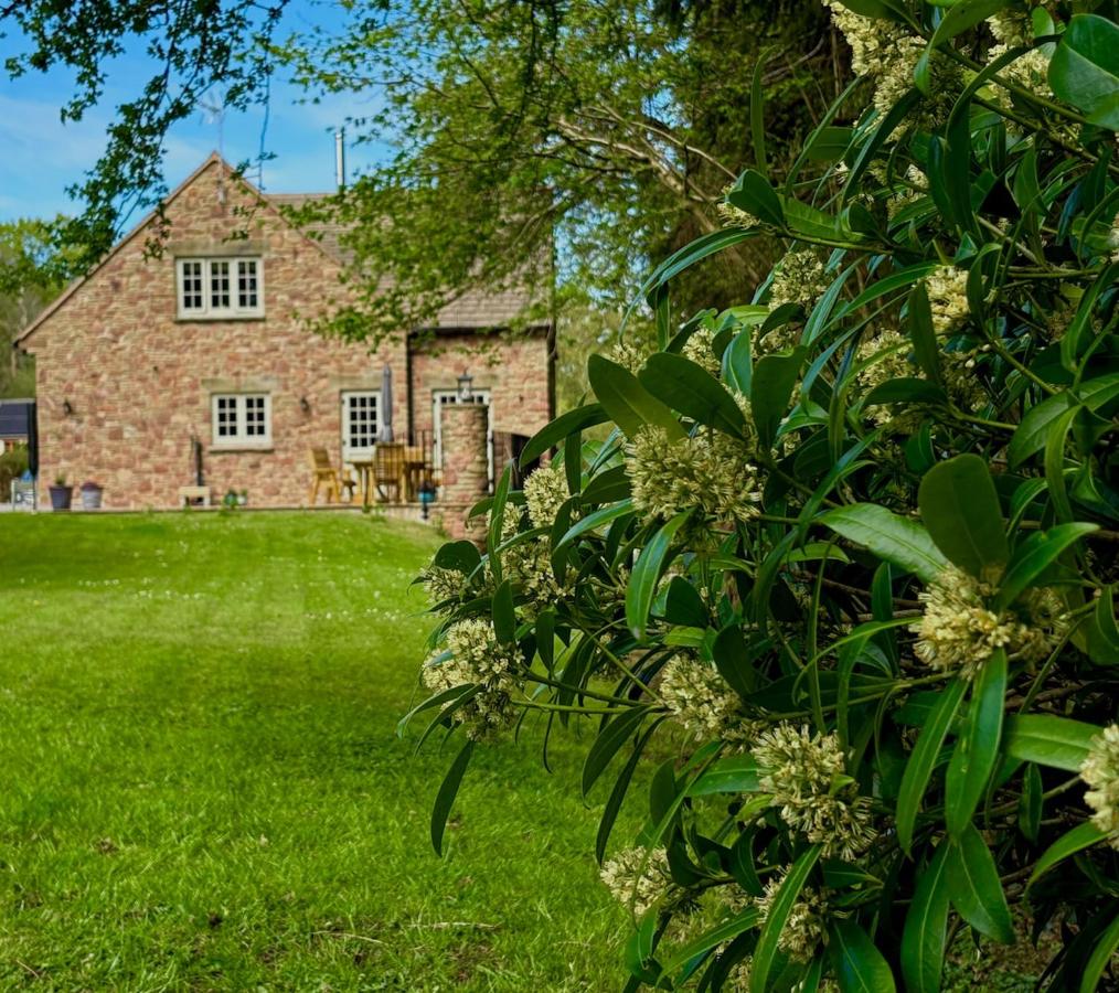 Flurry's Lodge - B&B