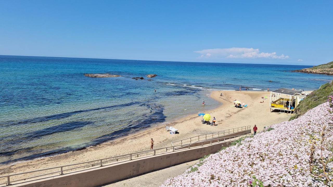 La tartaruga - B&B Castelsardo