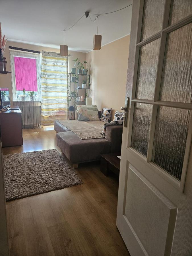 Gracious stay shared apartment