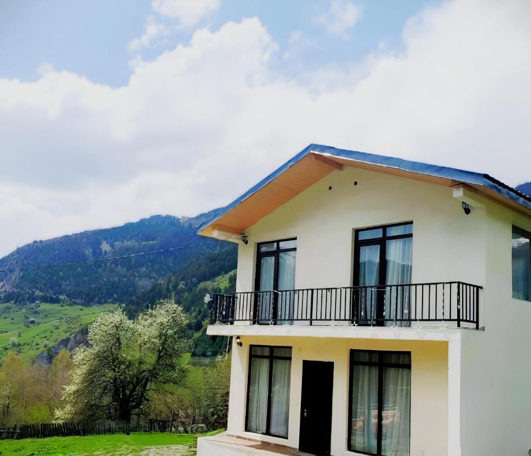 Hillside Mestia ჰილსაიდ მესტია - B&B Mestia