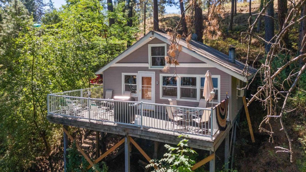 Secluded Lake Front Cottage with Water Access - B&B Davenport
