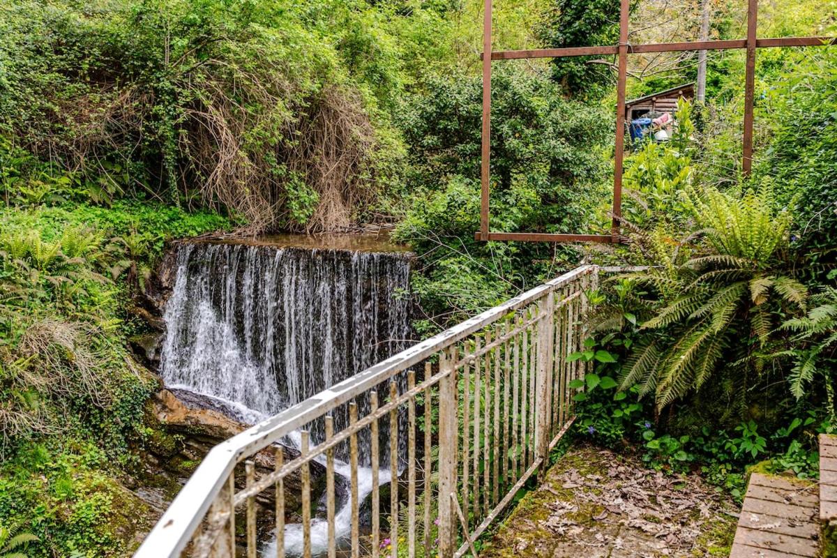 Casa Laura Nature and Art in the heart of Tuscany - B&B Rufina