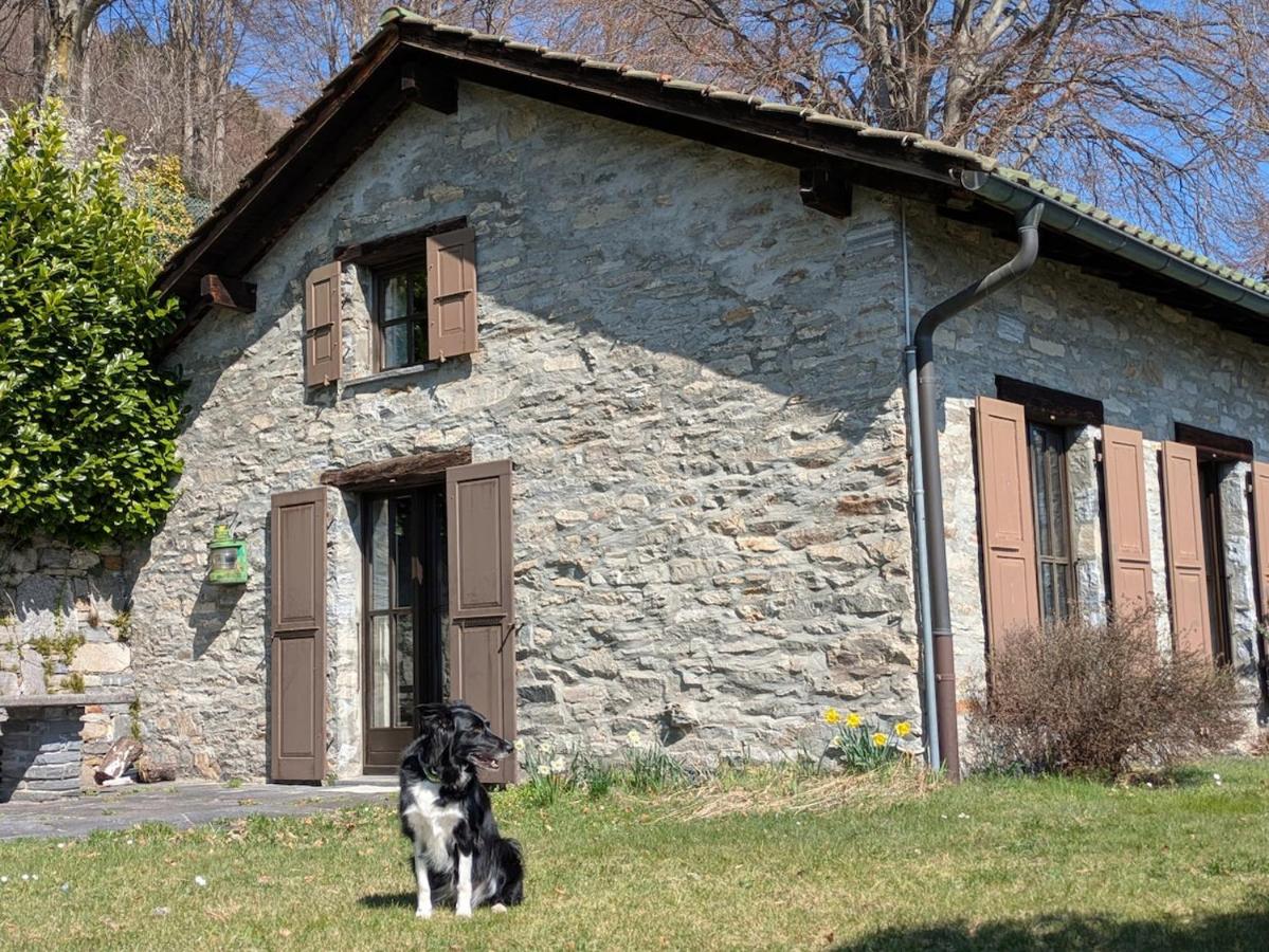 House under the beeches- Casa sotto i Faggi - B&B