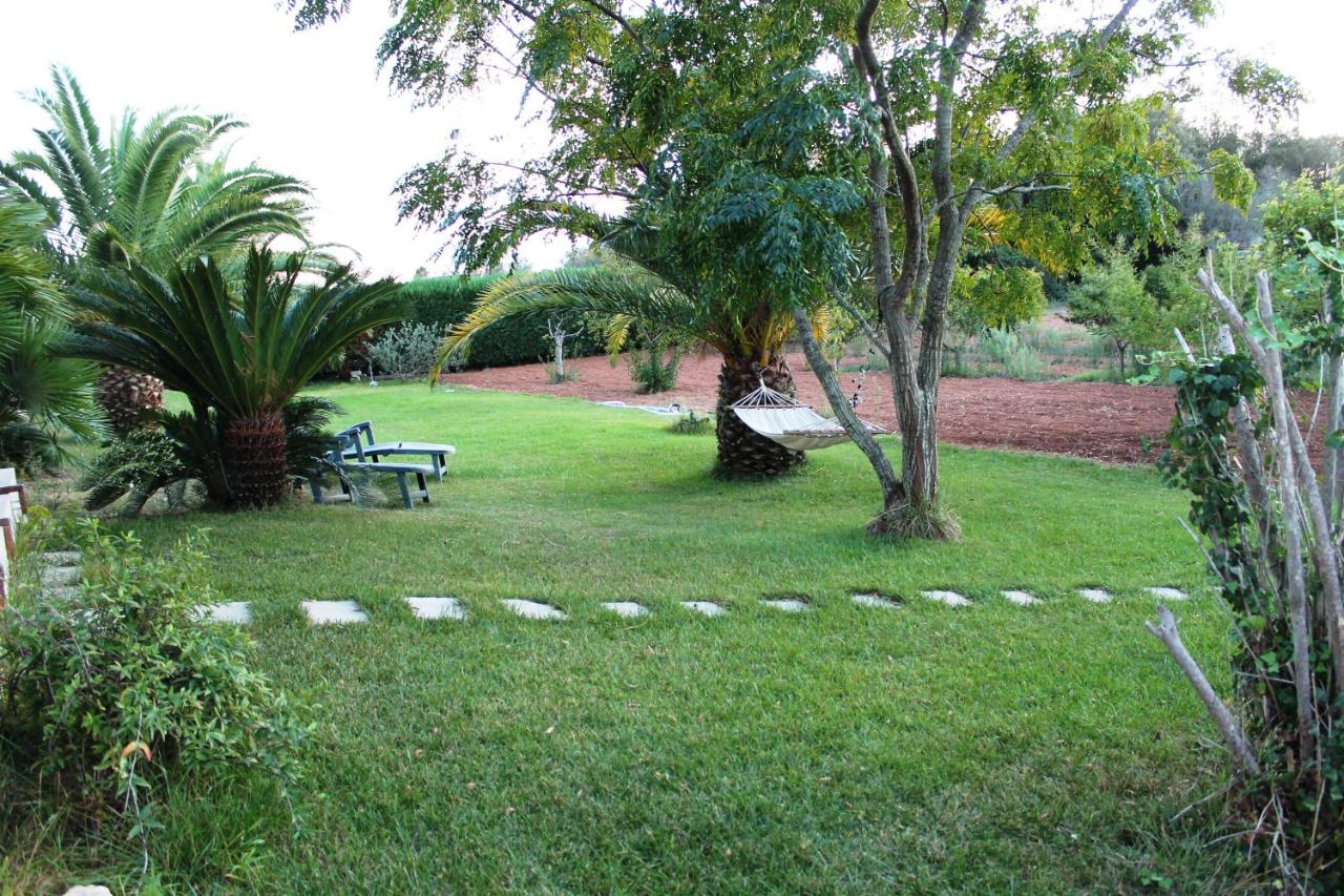 Vecchio Ulivo - B&B