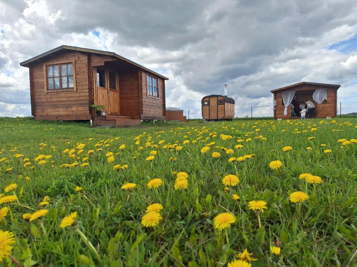 Kalnrozes pirts - B&B