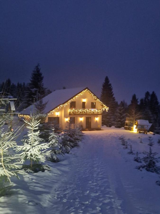 Cabana Alpin - B&B Dorna-Arini