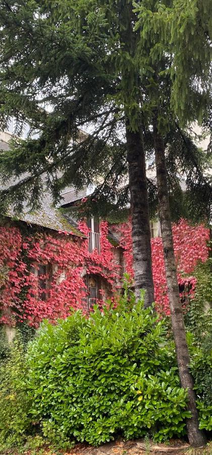 Moulin Grand, entire accommodation, 2br park river - B&B