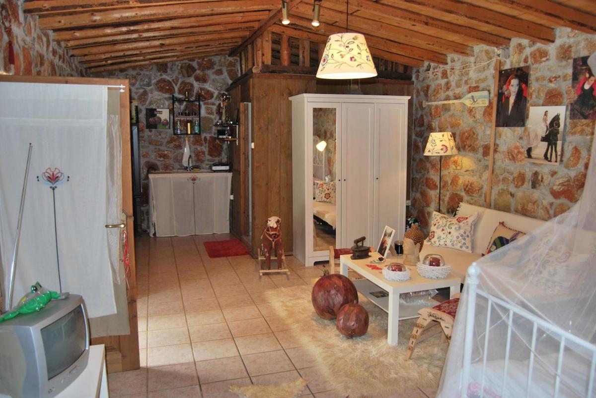Vakantiehuis