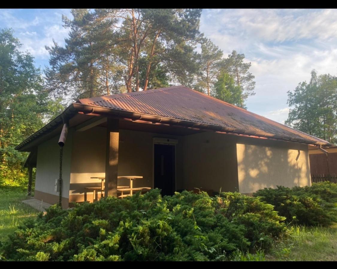 Domek letniskowy - B&B