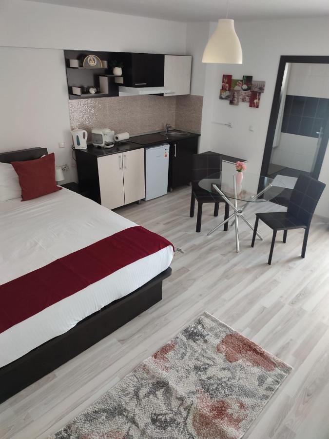 Sophia Central Studio 2 - B&B Iași
