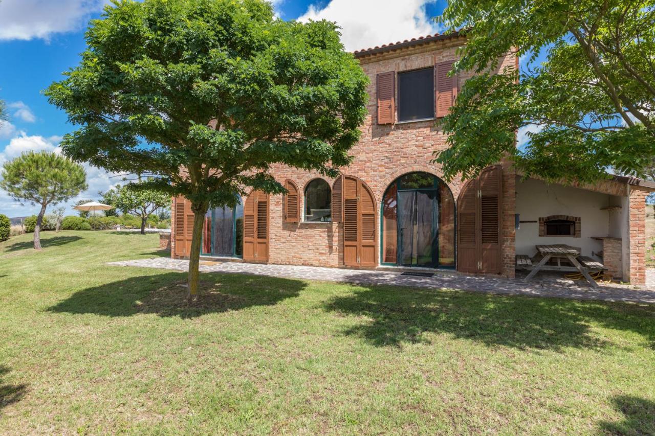Podere Casello - B&B Montisi