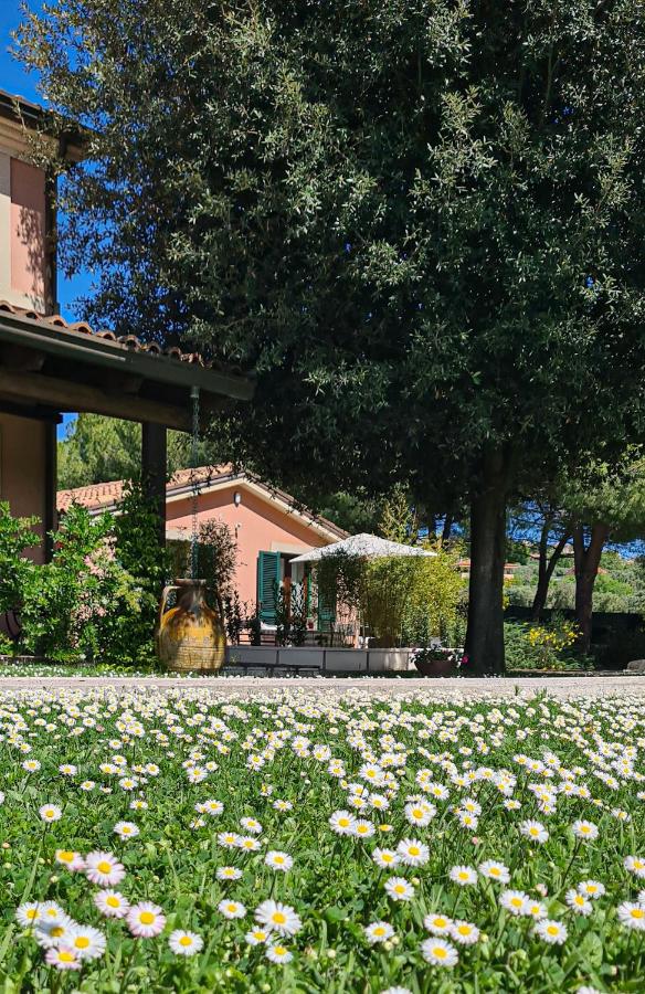 Villa Rosa Augusta - B&B Camerano