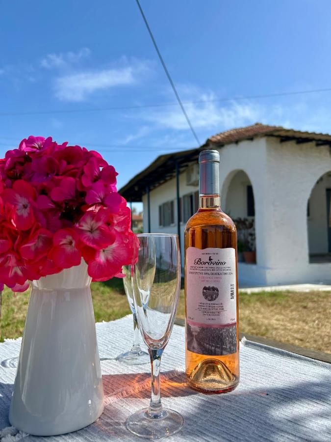 Cielo Mar - B&B