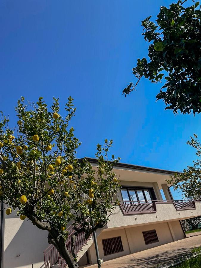 Villa il Profumo degli Aranci - Chambres d’hôtes Persano