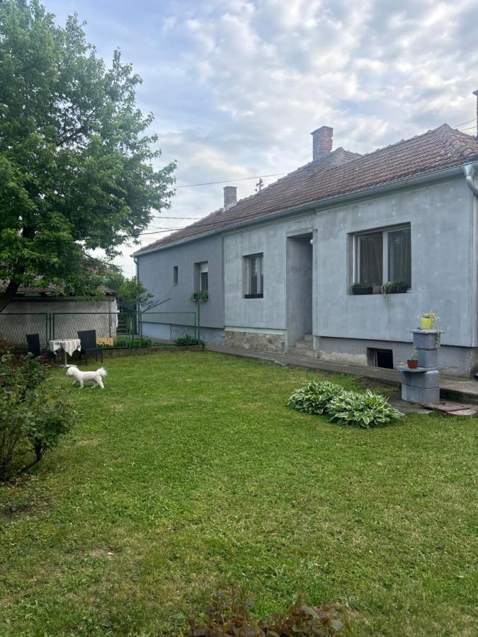 Sweet home Jagodina - Bed and Breakfast Jagodina