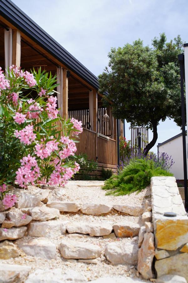 Hollers Holiday Homes Haus Max - Chambres d’hôtes Drage