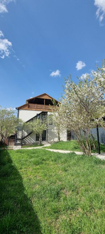 Nazani, villa with 4 bedrooms,whole apartment,жильё целиком - B&B Dilijan