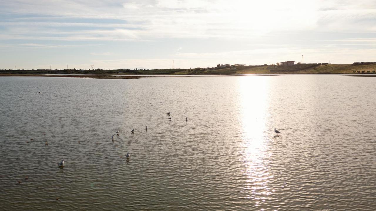 Flamingo View Suites & Villas - B&B