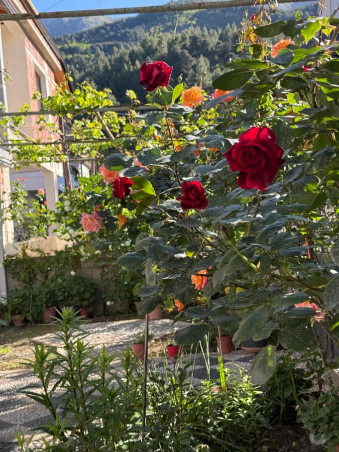 Camera Matrimoniale con Balcone