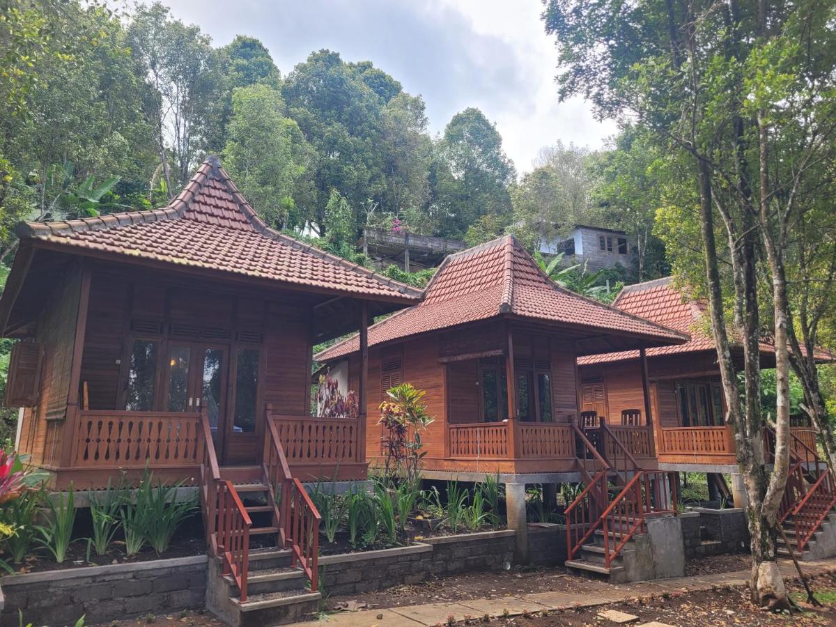 D'Langun Bali - B&B Munduk
