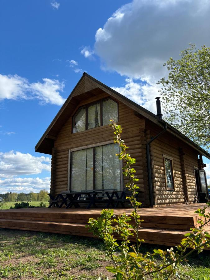 Brīvdienu māja Daugavas vītoli - B&B Jaunjelgava