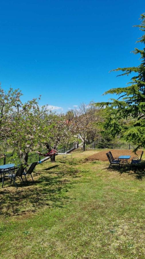 Tsigaridas Mountain Home - Bed and Breakfast Neokhórion
