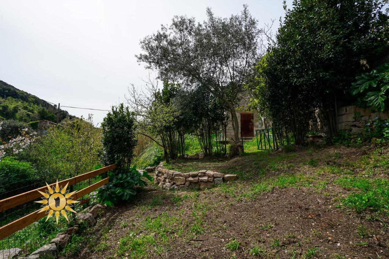 Soul River - Rifugio Zen sul Ruscello - Ferienwohnung Bortigiadas
